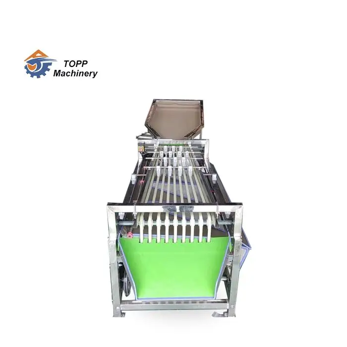 Electronic fruit grading grader machine size fruit sorting equipment