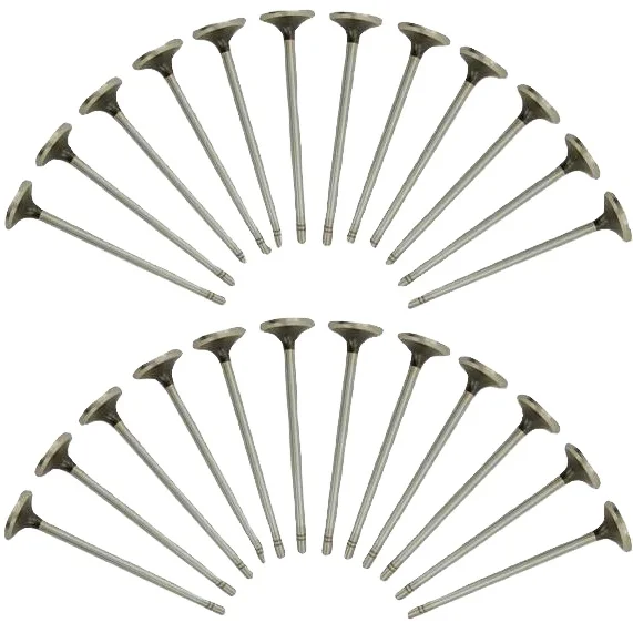 High Quality Engine valve For Lada 2101 Engine 2101-1007010 2101-1007012 Intake Exhaust Valve Auto Parts