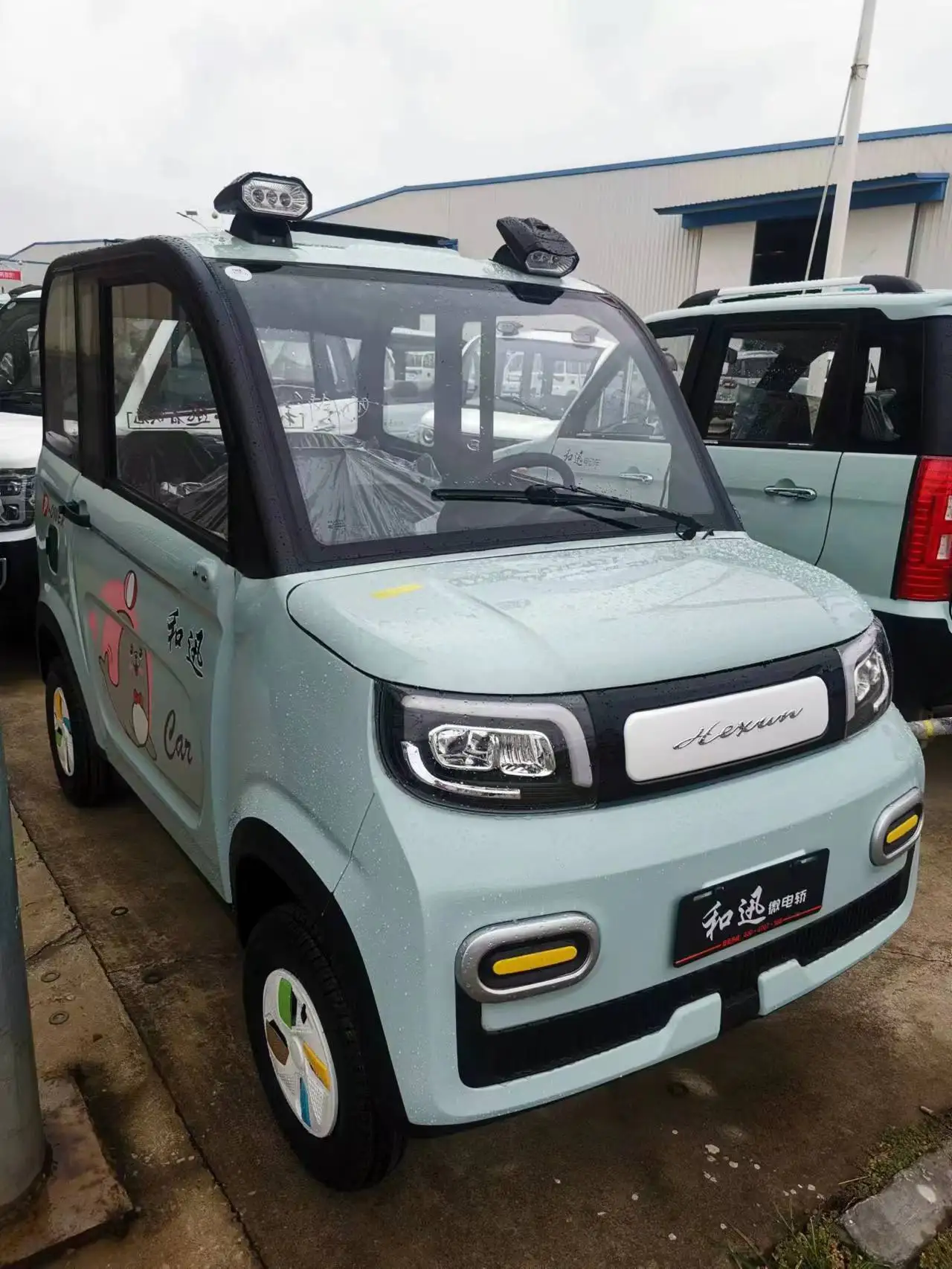 The first choice for enclosed small New Energy Vehicles 2 doors 4 wheel electric car for adult