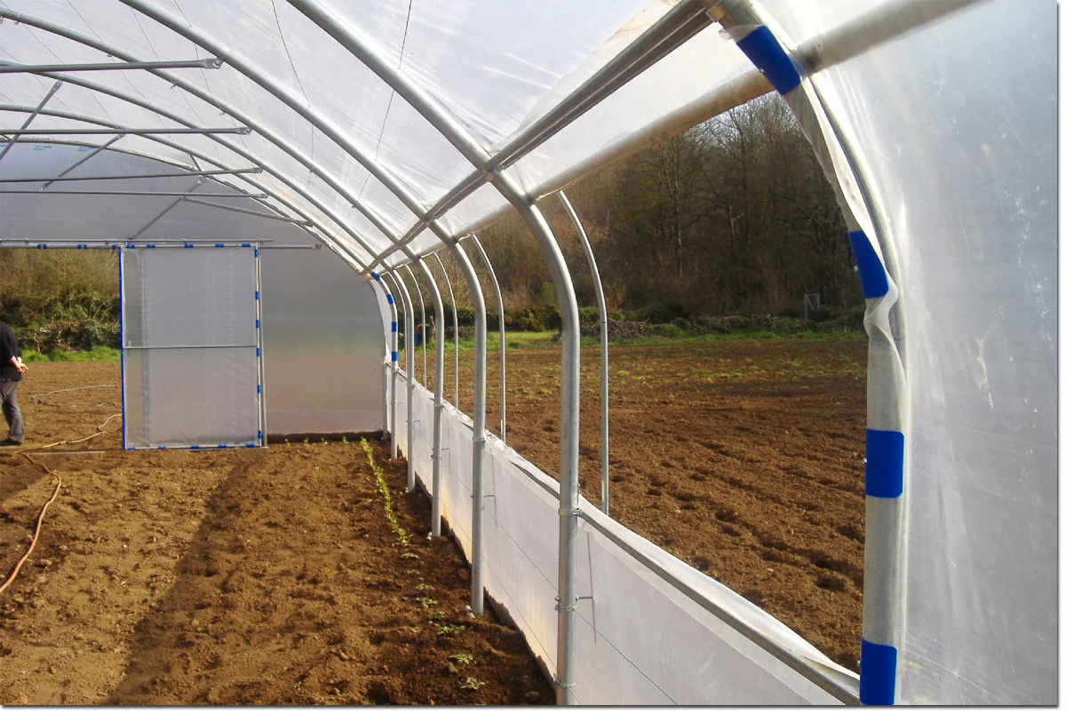 Large Size High Tunnel Agricultural Single-Span Film Greenhouse for growing Tomato Greenhouse