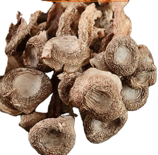 
Premium quality new dried raw loose Lyophyllum decastes mushroom 