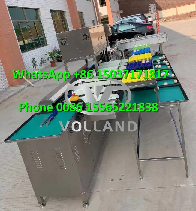 duck egg sorter machine/10000pcs per hour egg grader classifier/electronic egg sorting machine