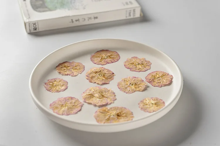 Sakura Cherry Blossoms Card Making Supplies Resin Jewelry Natural Plant  Real Pressed Dried Flower