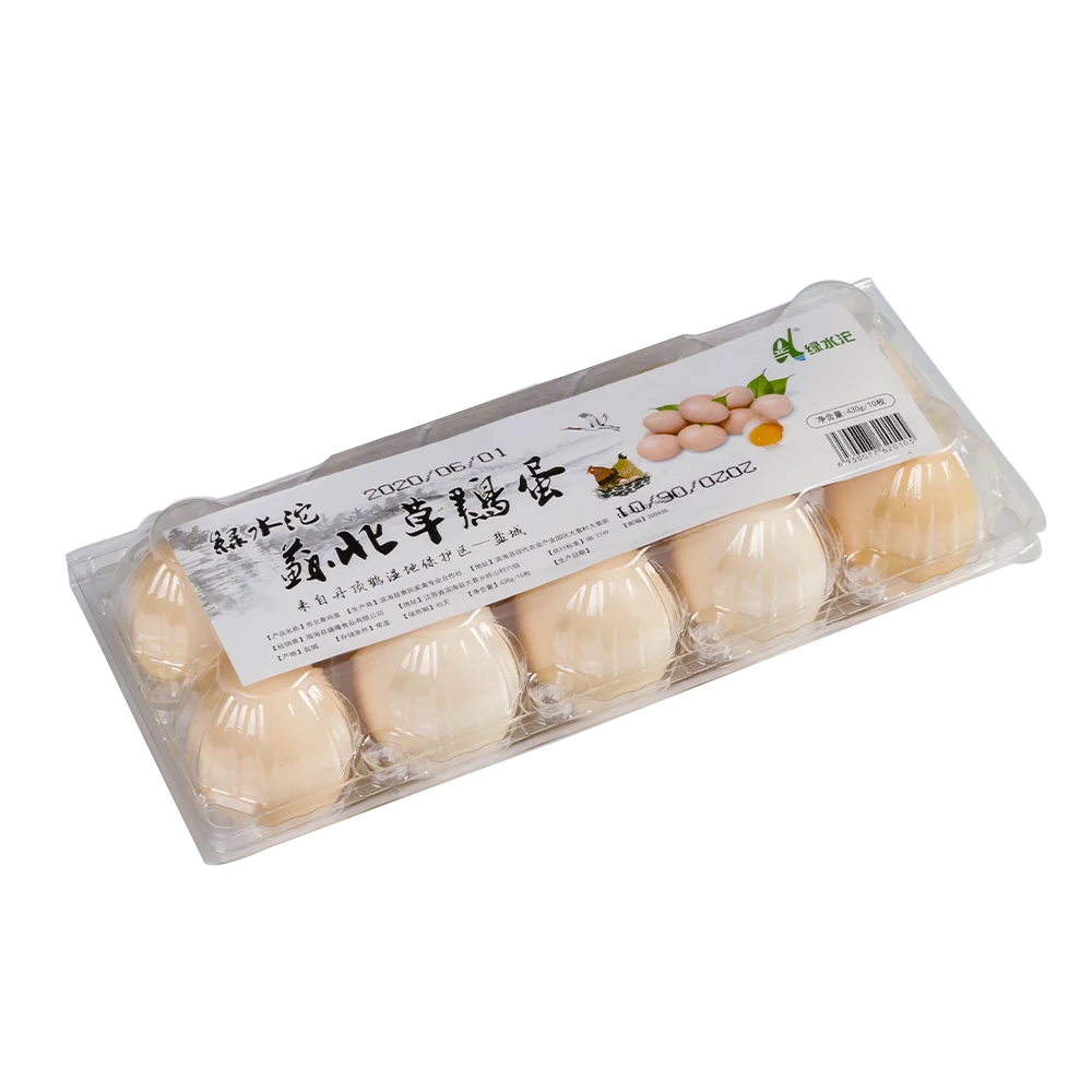 Wholesale Packing Storage Box Pulp Moulding Processing Transparent Disposable Plastic Egg Tray