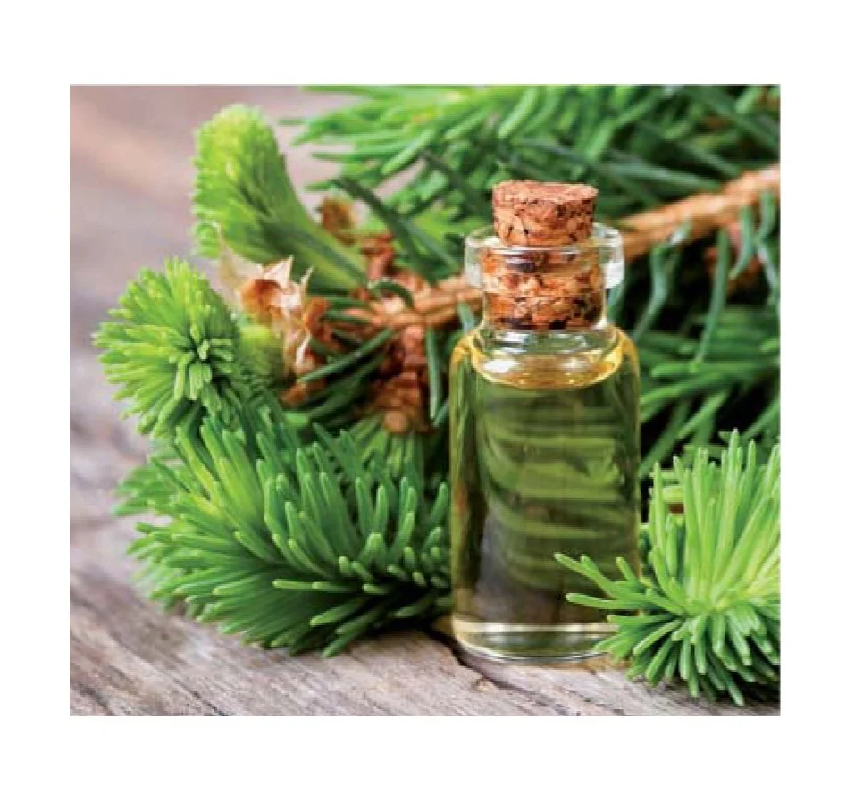 
Natural Organic 100% pure Cedar Oil Siberian Cedarwood Oil 