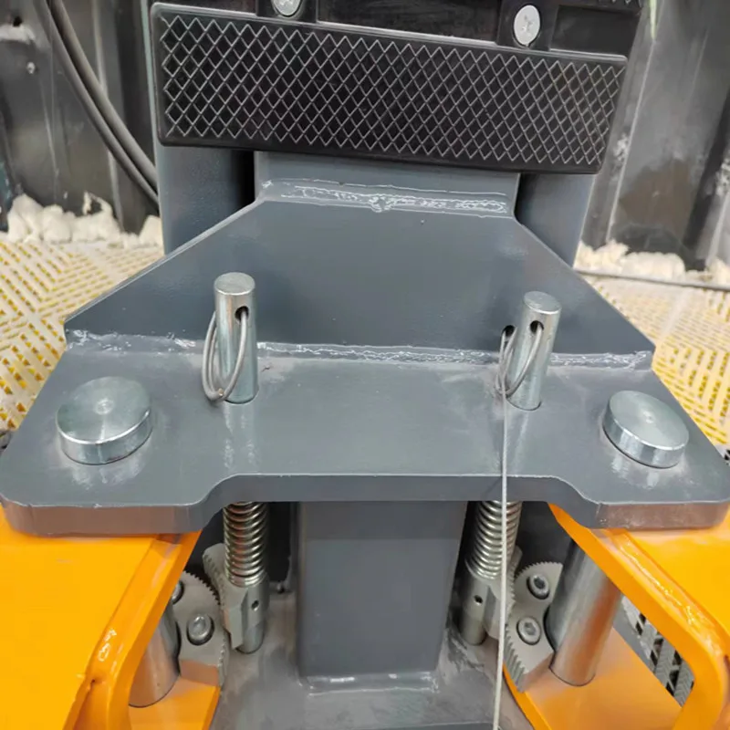 Car Lifter Hydraulic 2 Post Lift 5 Tons 5T 5.5T 6T Car Hoist 2 Post Lift Vehicle Two Post