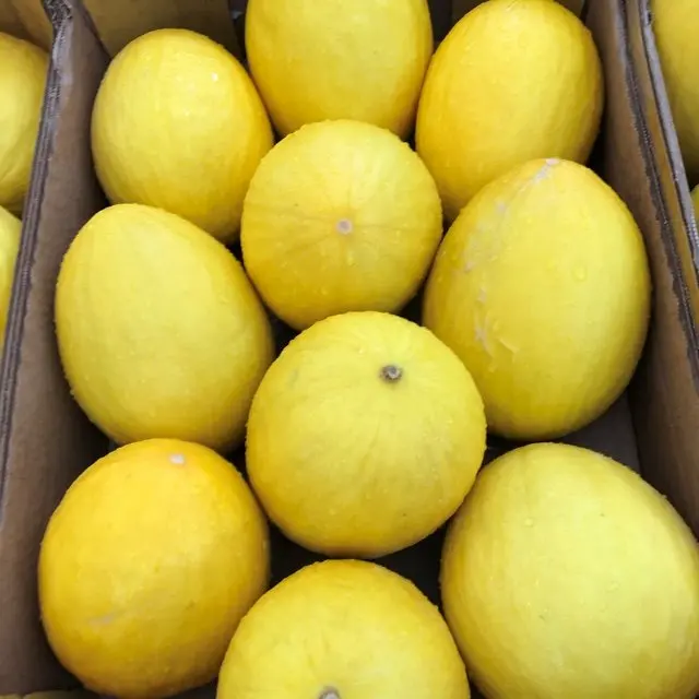
Fresh Organic Honeydew melon 