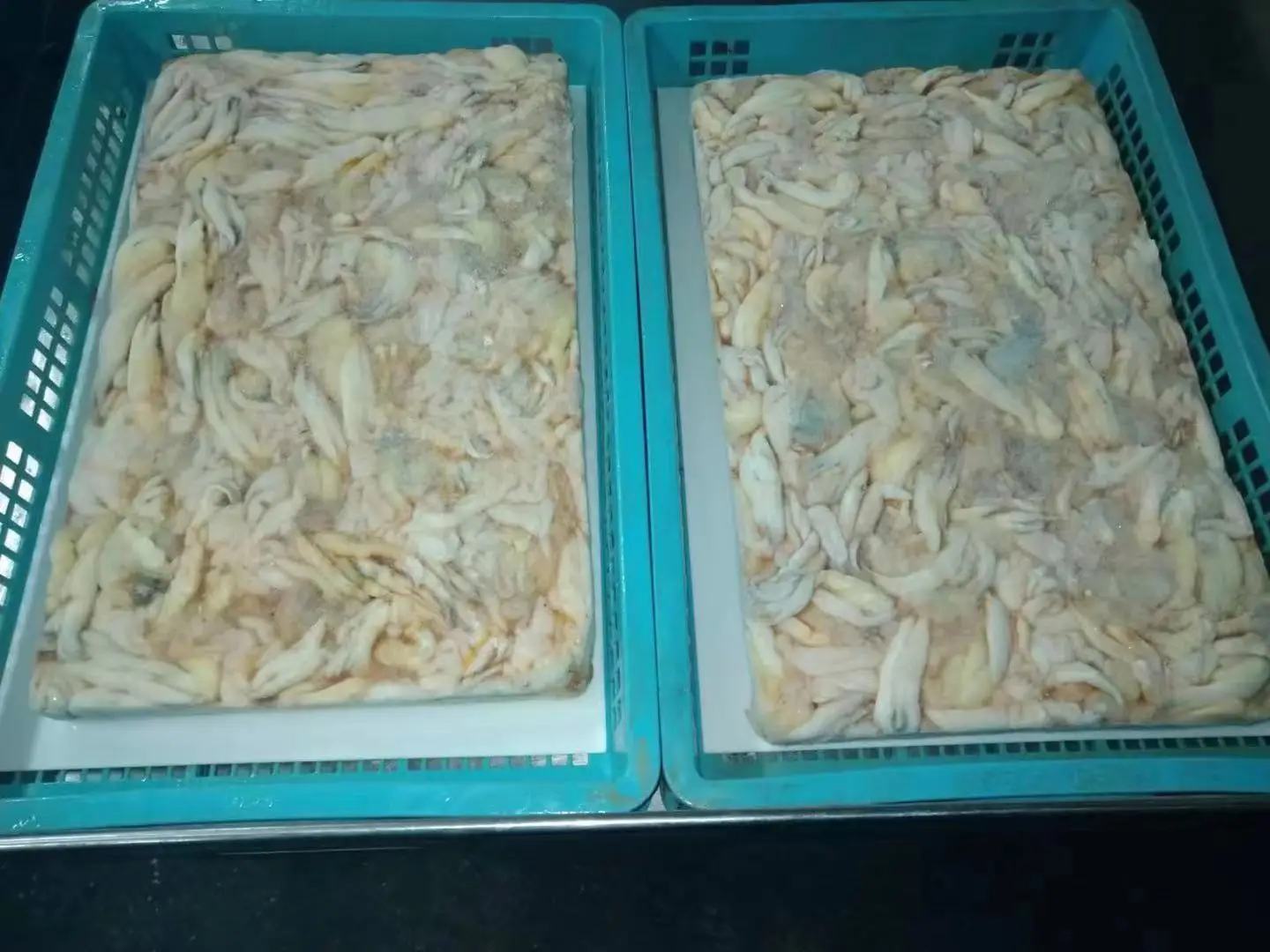 frozen illex squid roe from japan