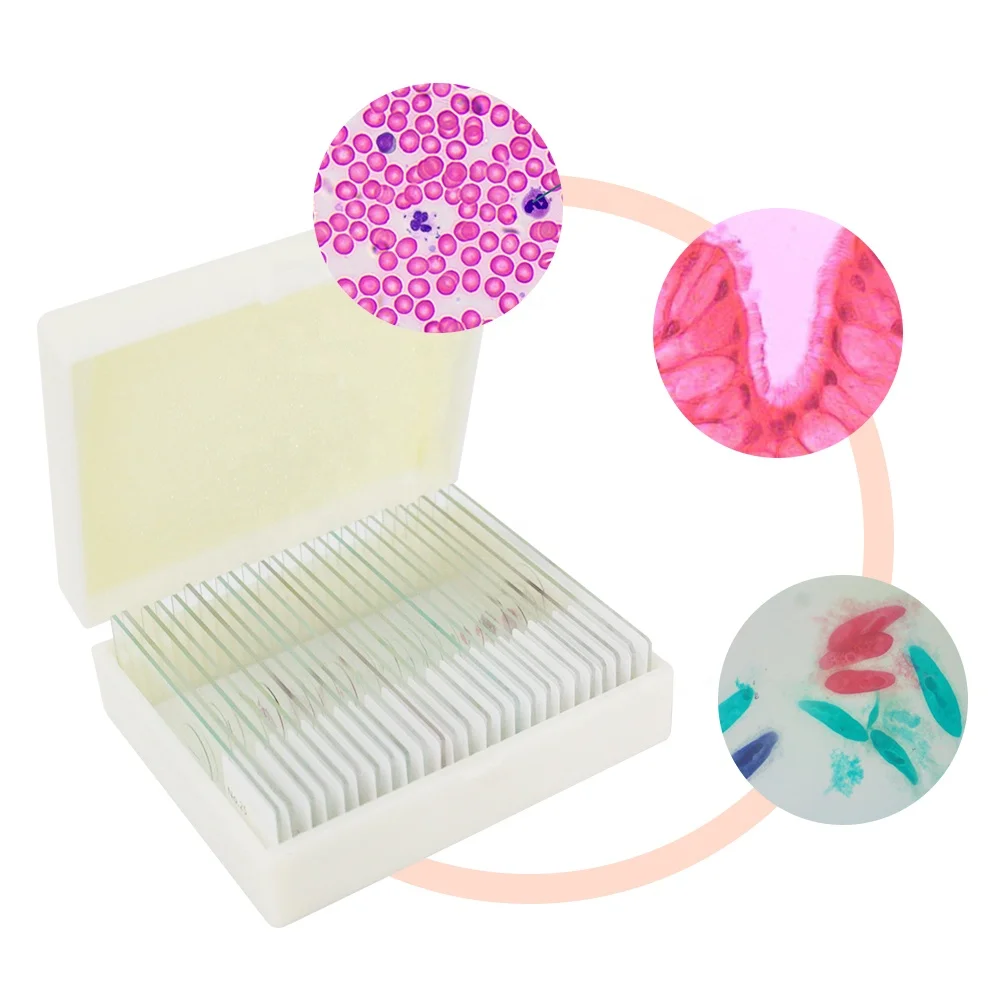 25 Pieces Zoology Microscope Slides Prepared Slides Set Zoology Histology Microbiology Microscope Slides