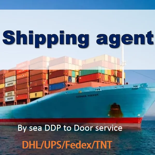 Building Block Toys Brick Set Fast logistics Service DDP Door to Door Shipping Agent from China to  Belarus wasap+86 15778287947