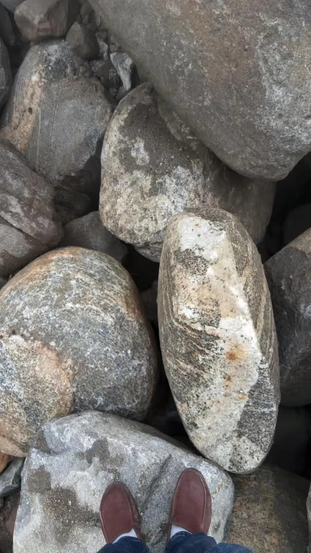 Landscaping big size river rock  pebbles stone