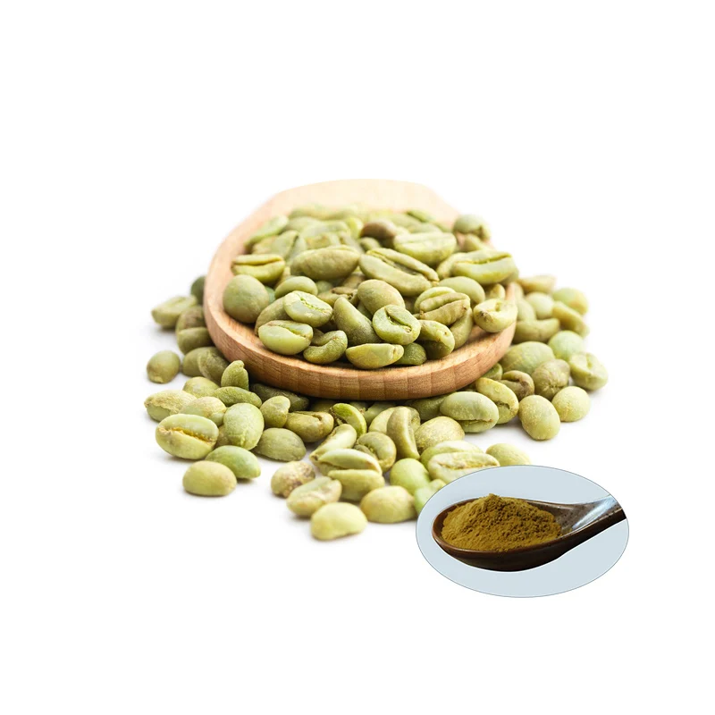 Factory supply Chlorogenic Acid Green Coffee Bean Extract for lose weight