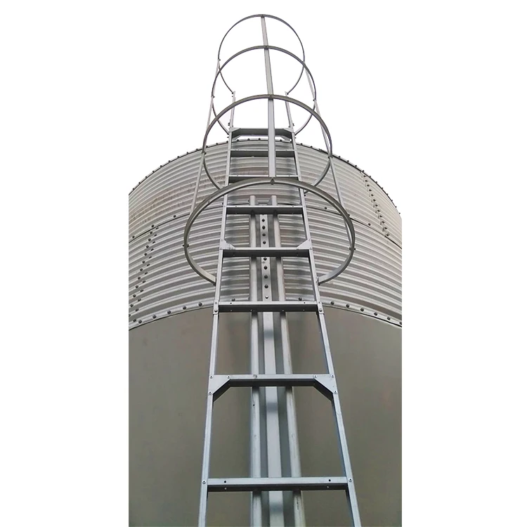 Small Grain Silos 10 Ton Capacity 20t 30t 40t 50t Steel Storage Silos Cost