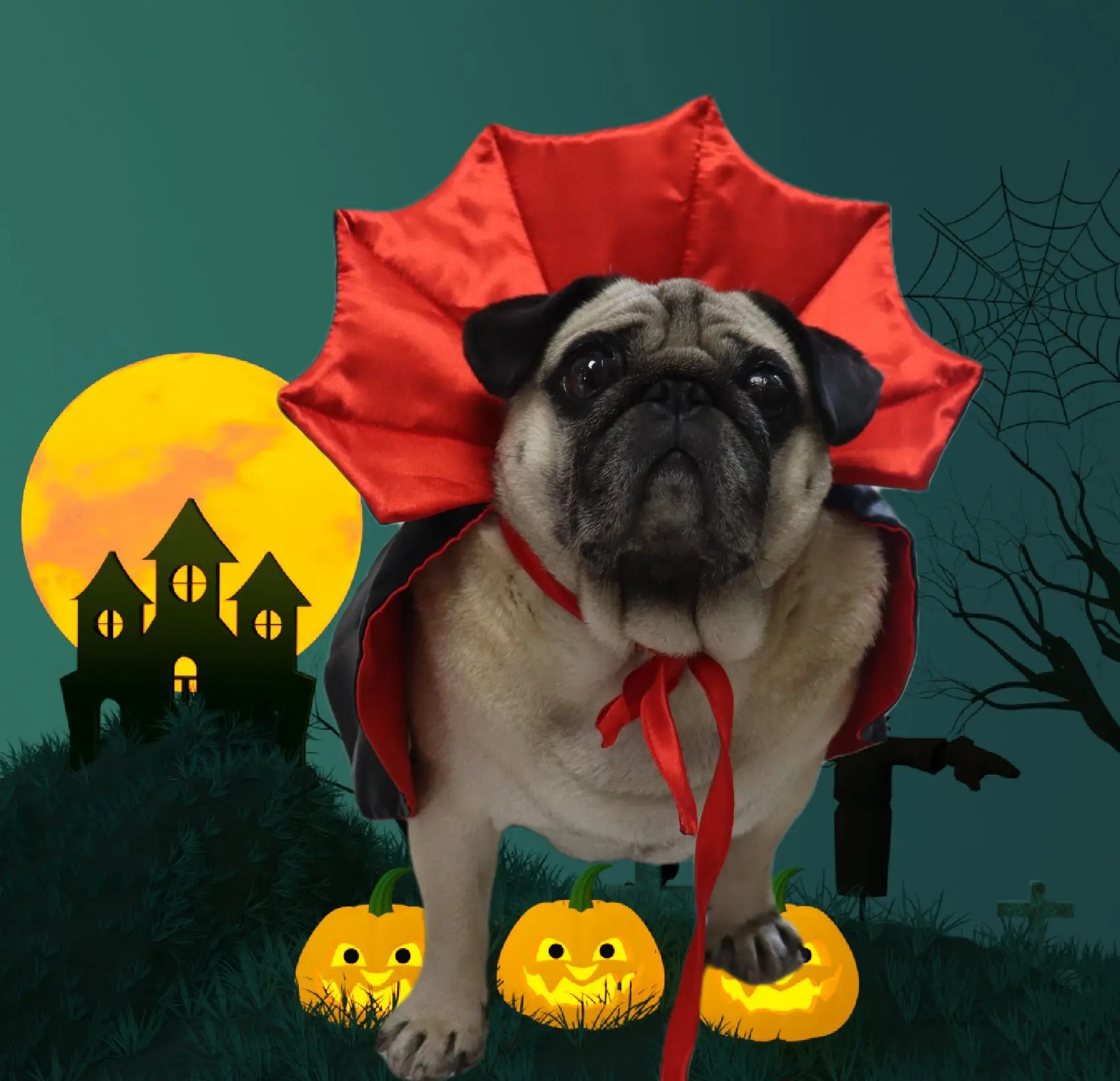 Pet Vampire Cloak Costumes Cosplay for Small Cats & Small Dogs Clothes for Black Halloween Bloody Zombie Party Easter Gift