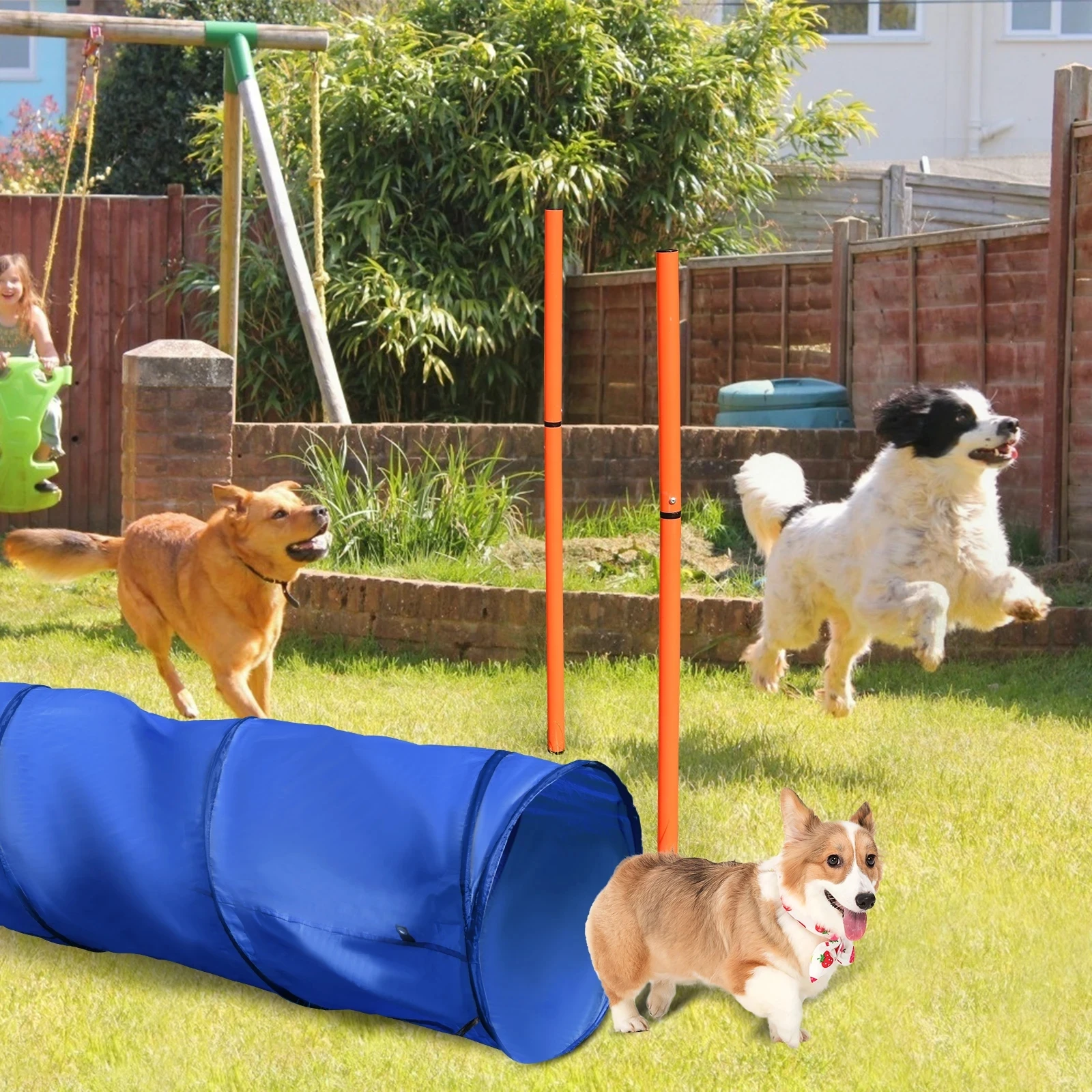 LXY-N411 Dog Agility Training Equipment Tunnel Poles Hurdles Exercise Pet Obstacle Course Agility Pet Training Set
