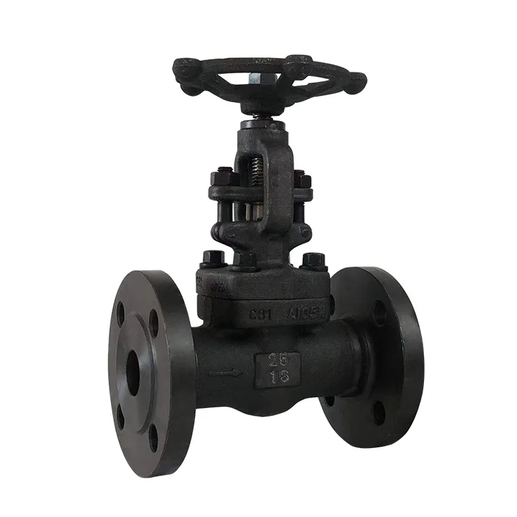 2024 Wesdom Forged socket welding 1/2 inch SW 800# trim 12 A182 F316 API 602 dn65 welded gate valve