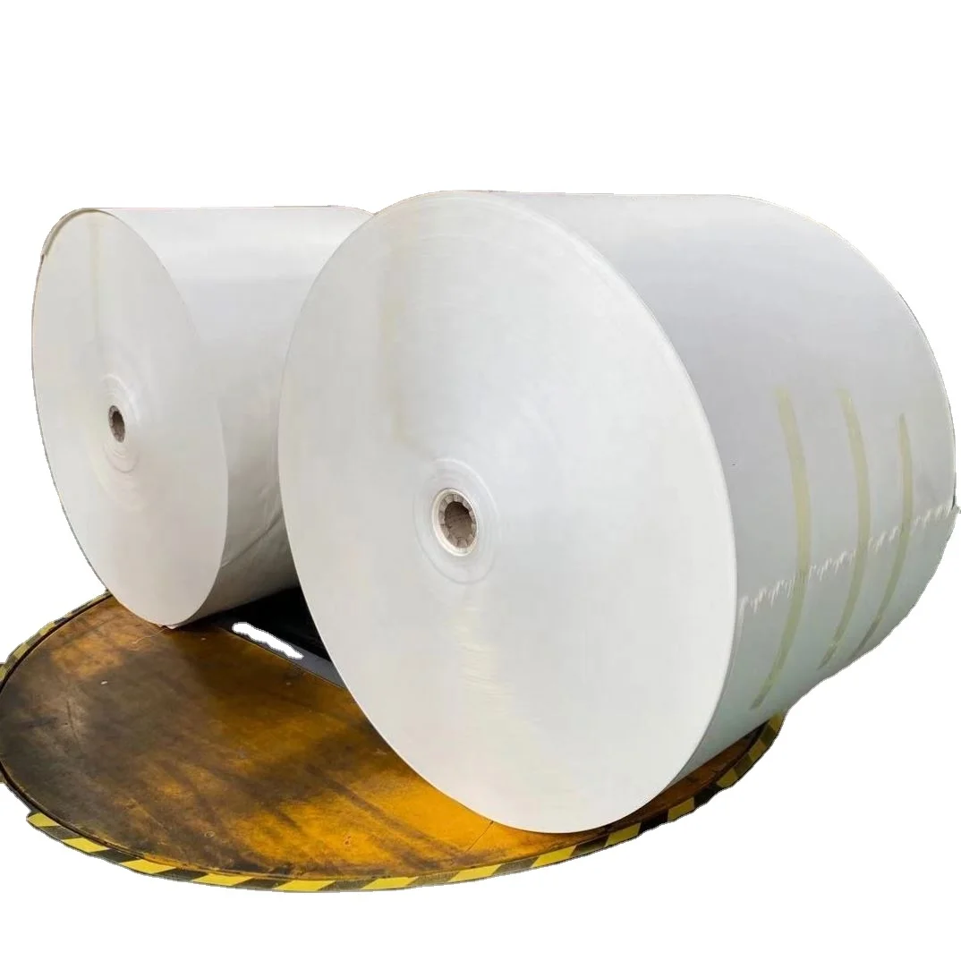 Chinese manufacturer 170 gsm 190 gsm 250gsm double single side pe coated paper roll raw materials for paper cup