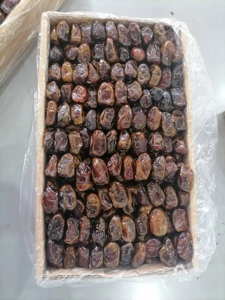 Best Quality Zahedi Dates - Fresh Mozafati/Kabkab Dates - Wholesale Date