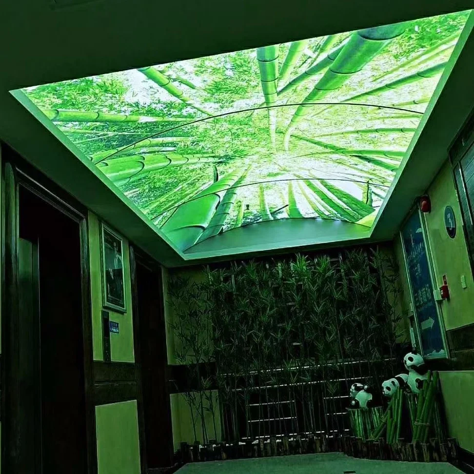 ZHIHAI red love heart new pattern pop designs for ceiling