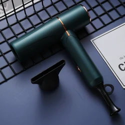 Wholesale compact and portable Travel Family Hair Blower