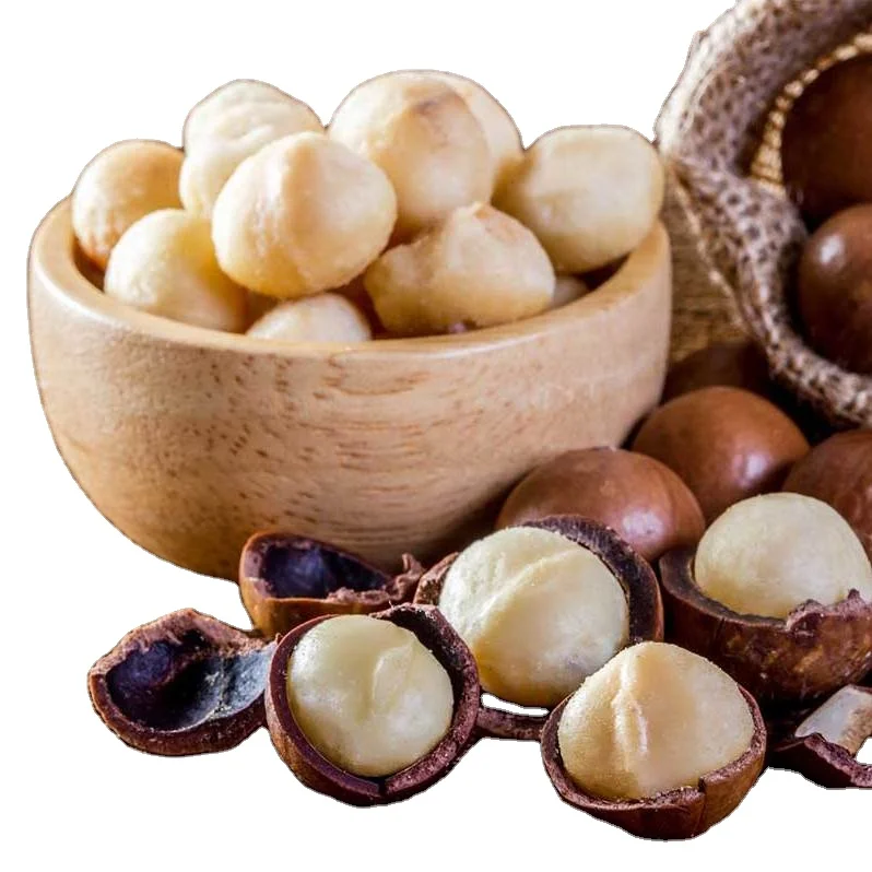 macadamia australia macadamia peladora prix des noix de macadamia