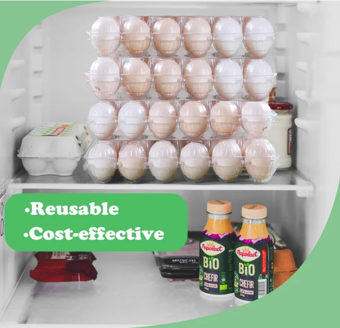 40 Pack Clear Plastic Egg Carton Holds Up to 12 Eggs - 1 Dozen, Reusable Egg Carton for Family