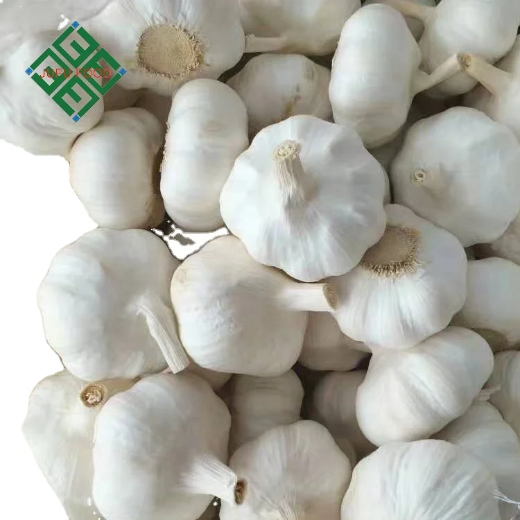 Свежий белый чеснок