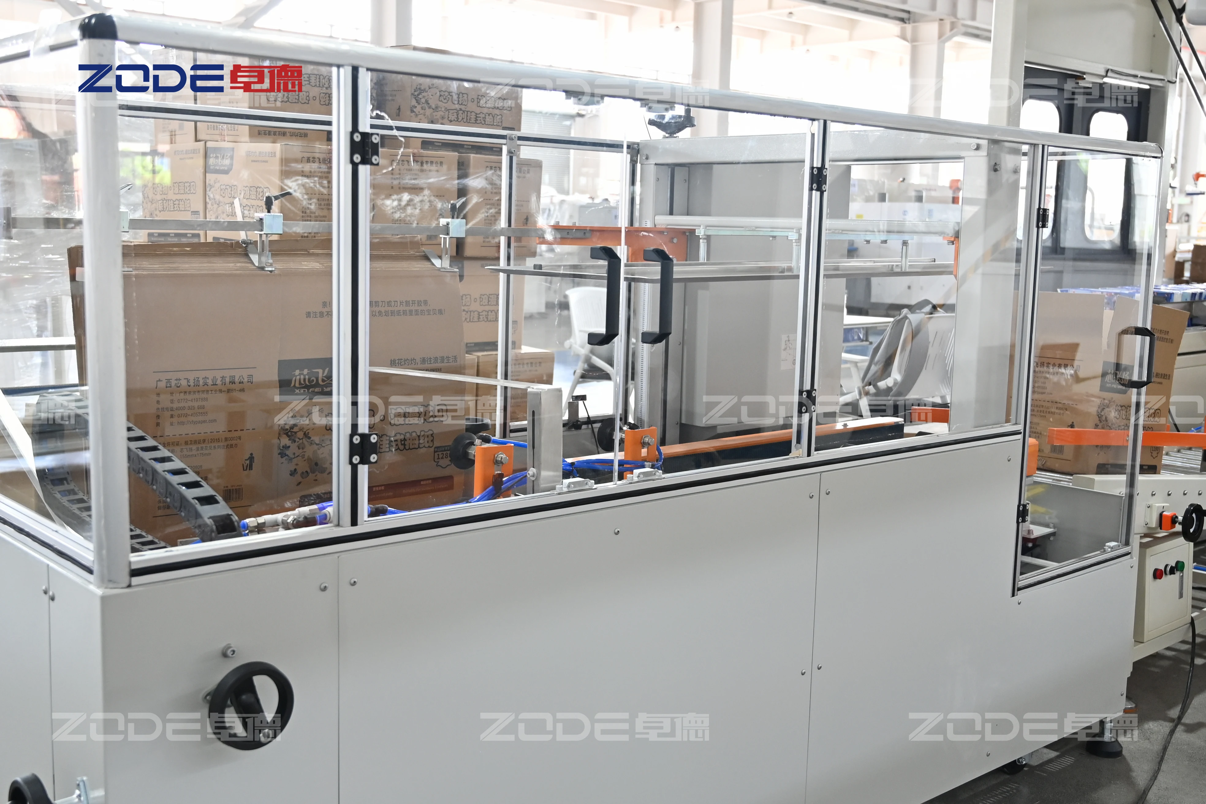 ZD-ZX20 Automatic Case Packing Machine Facial Tissue Paper 20 Beats Time Packing Machine