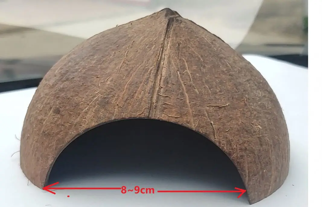 Aquarium Fish Tank Parrot Cage Natural Coconut Shell Bird