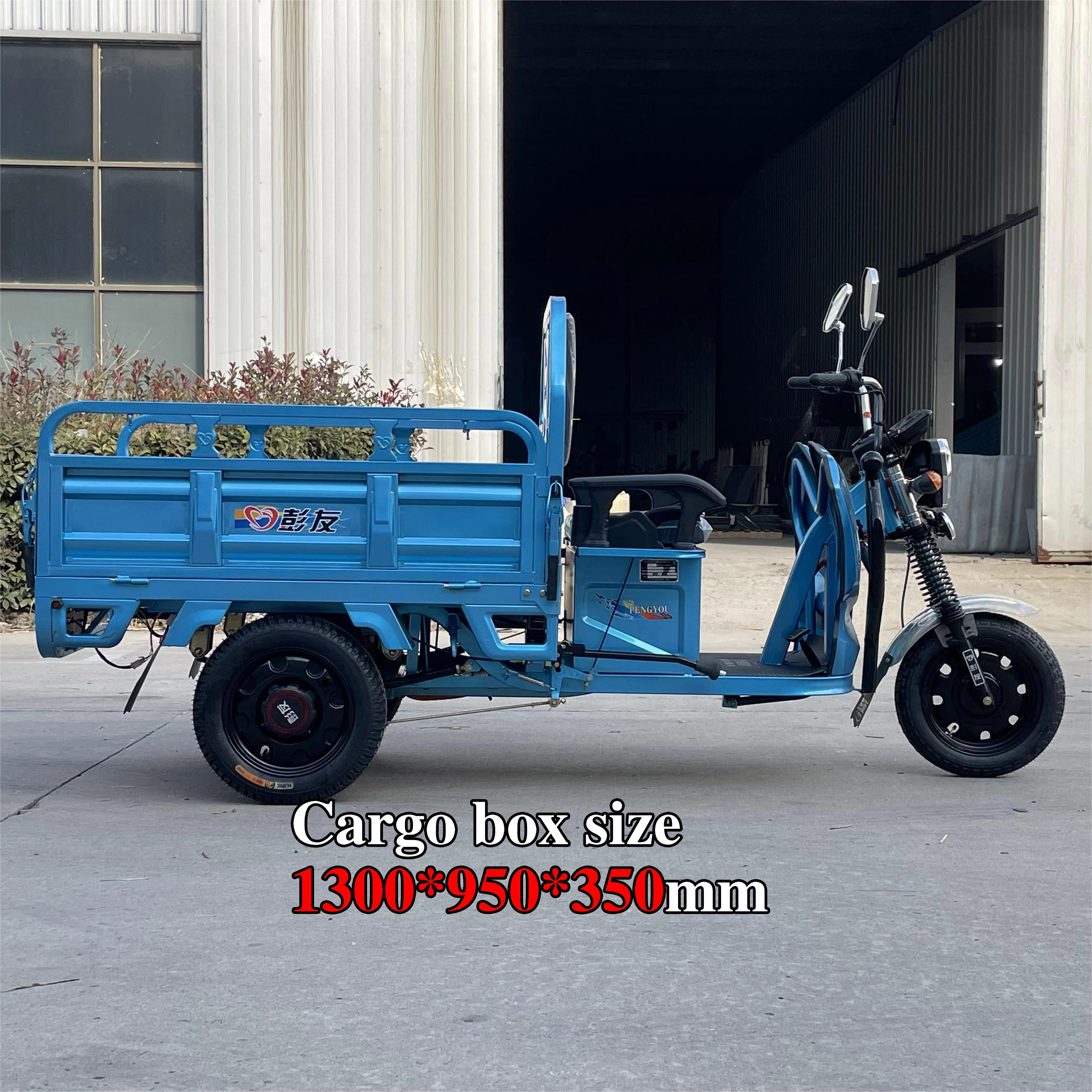 Lb130 Customer Service Point Electric Tricycle Fashion Excellent 300kg Loading Capacity For Cargo