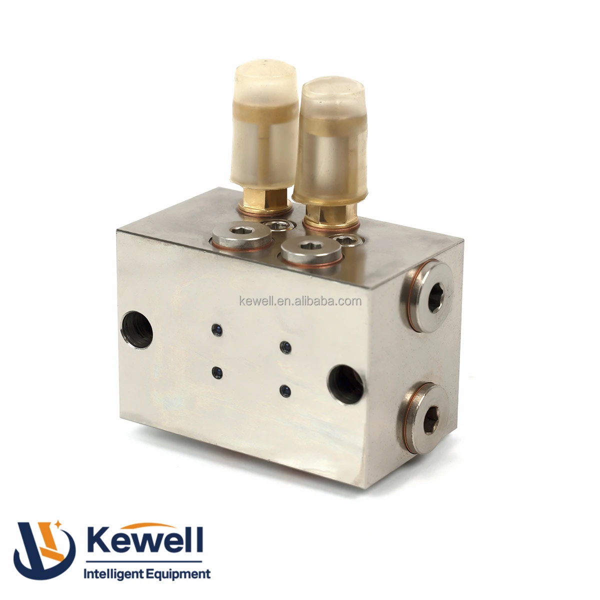 DDV Dual Line Distributor Manifold Injector Progressive Lubrication Metering Grease Oil Dispenser Block Divider Valve