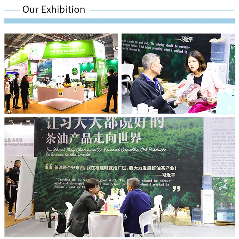 Light Yellow Ecological Cultivation Cooking Tea Tree Grade Camellia Oil