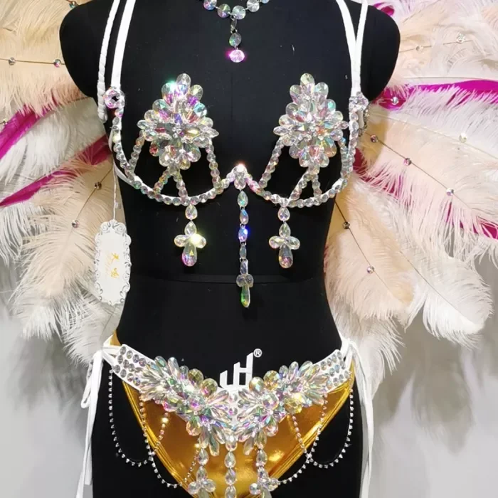 Top Quality Handmade Samba Rio Carnival Wire Bra+Panty+Feather Headdress With Stone Sexy Belly Dancing Costume CF002