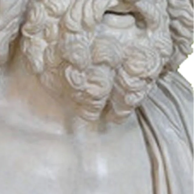 Stone Head European Bearded Man Marseille Head Statue