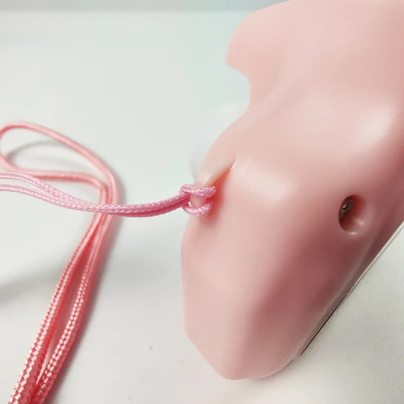 IPOP Kids Camera Mini HD Screen 1080P Projection Video Camera with 2G TF card Baby Gifts Birthday Digital Kids Camera