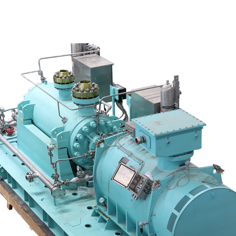 Huasheng Api610 Type Bb5 Double Casing Horizontal Multistage Barrel Pump Centrifugal Pump