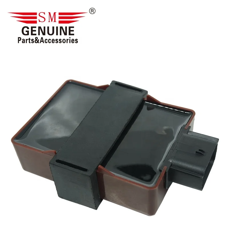 Motorcycle ignition parts 12 pin 200cc bajaj pulsar NS 200 ROUSER 200 Ns200 PULSAR200NS motorcycle cdi racing cdi unit