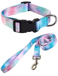Custom Private Label Dog Collar and Leash Set Designer Fashion Pet Dog Collar and dog leash