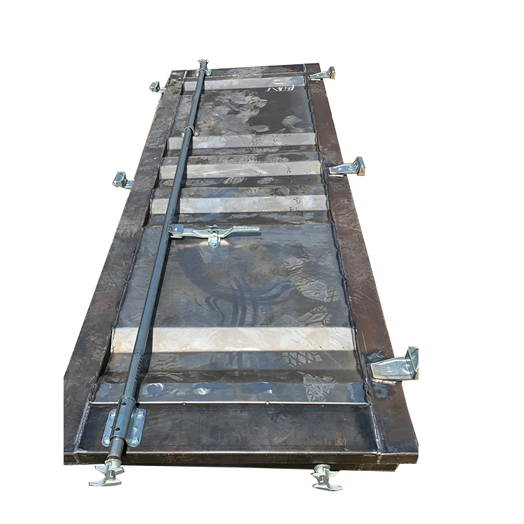 Custom Made Size or Standard ISO Dry Shipping Container Door