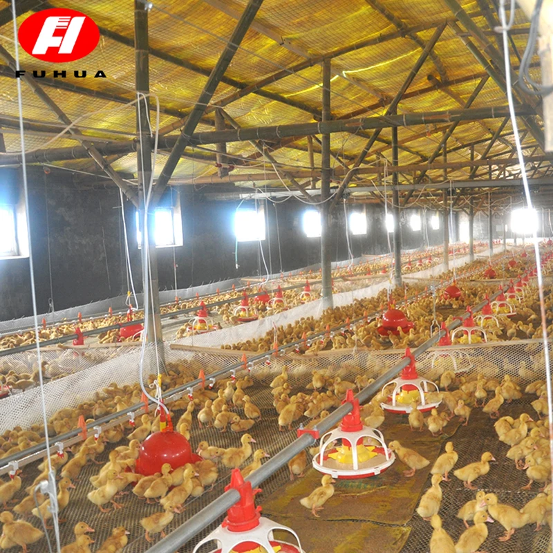 
Хорошая цена, новый продукт, соска для поилки бройлеров, поилка для цыплят, сборная ферма с послепродажным обслуживанием 