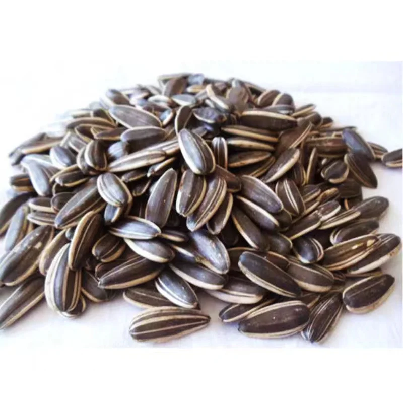 Hot sale high quality cheap price sunflower seeds for export
