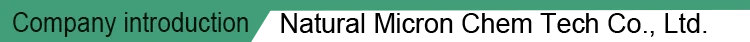 Company introduction