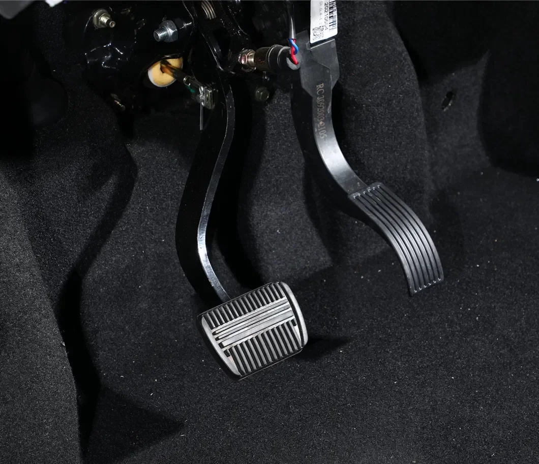 3000W Long Range Two Seater Mini Electric Car for Adult New Product Charger Voltage 220 Volts EV5 Electric Car Capacity