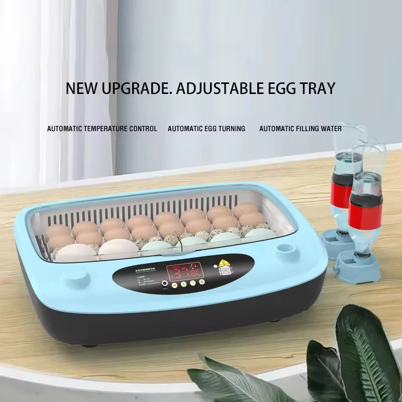ST-36C Automatic Incubator And Hatcher Egg Incubator Hatchery Best Price Quail Egg Incubator 36 Eggs