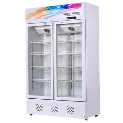 geladeira frost free drink cooler machine 2 door commercial freezer