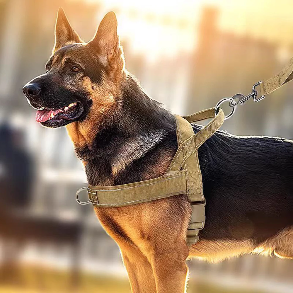 Nylon OEM Design Y Shaped Dog Lifting Harness Anti Pull Heavy Duty Dog Pet Harness Vest with handle