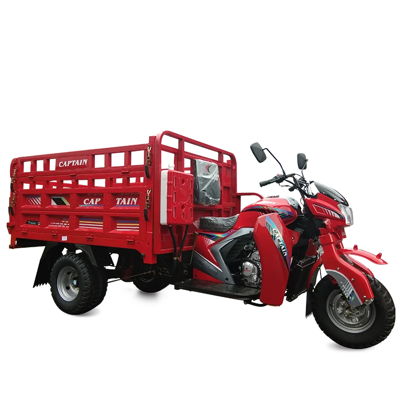 Factory customized multiple models large capacity pedal lightweight farm cargo delivered adult 3 wheel tricycle
