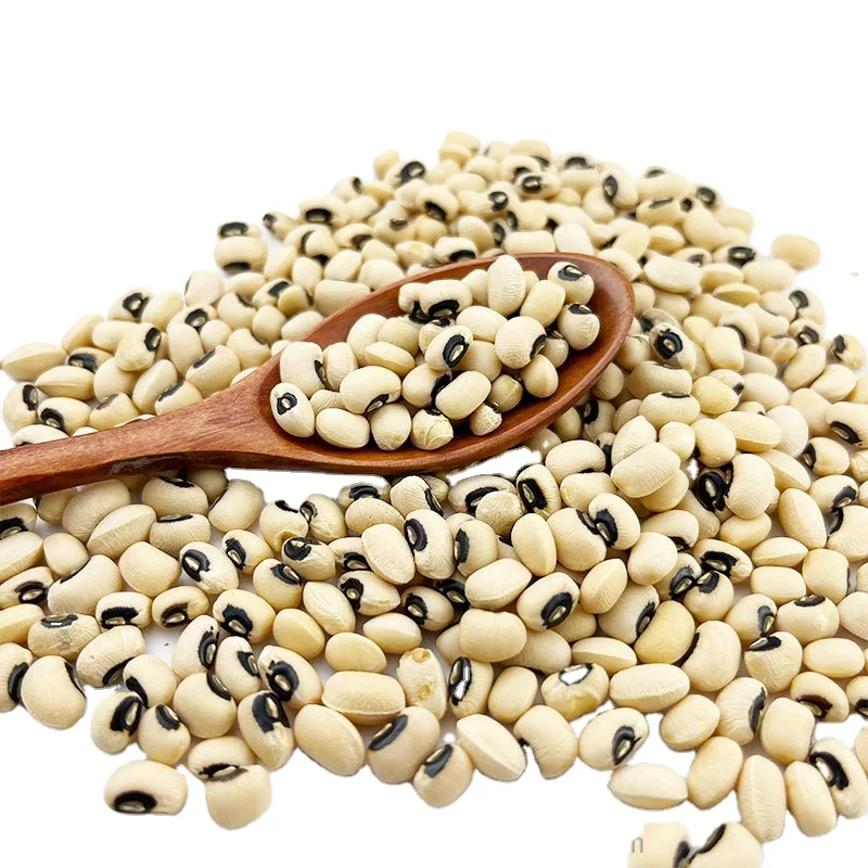 Factory Direct Sale  Cow Pea BLACK EYED BEANS