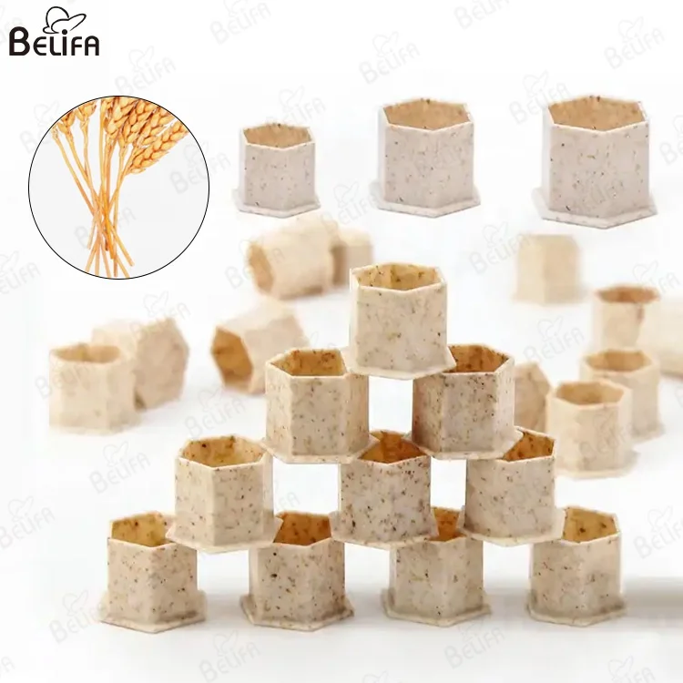 Eco-Friendly Disposable 200pcs 10mm 12mm 15mm Tattoo Ink Biodegradable Permanent Makeup Cup Accessories