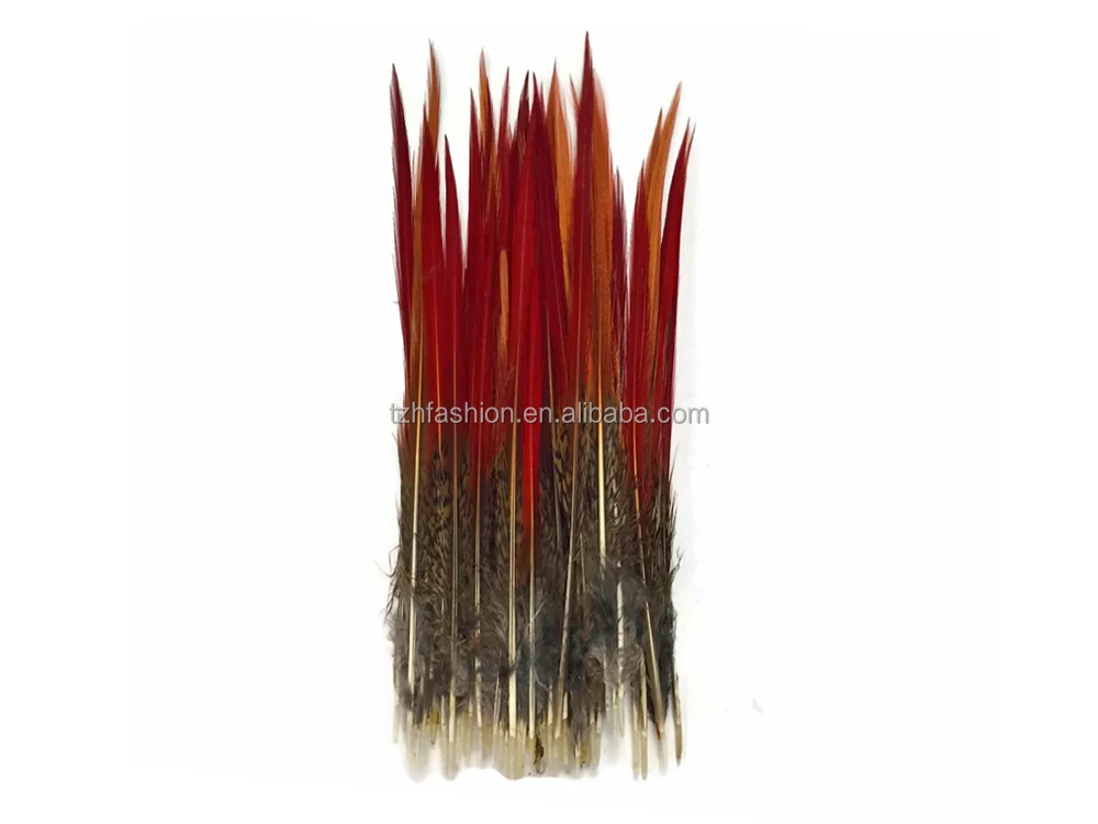 4-6 inch , 6-8 inch , 8-10 inch Natural Red Golden Pheasant Red Tip Loose Pointy Feathers